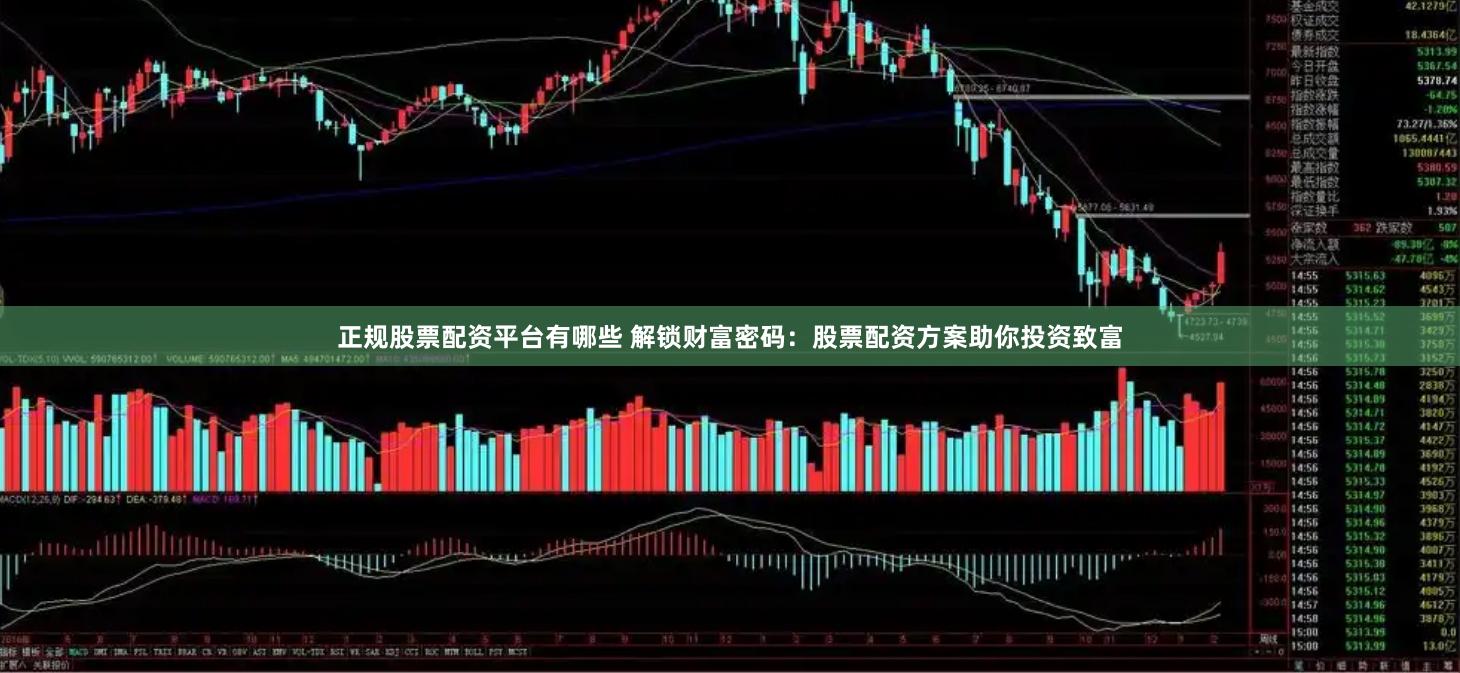 正规股票配资平台有哪些 解锁财富密码:股票配资方案助你投资致富