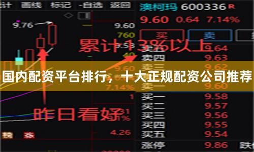 国内配资平台排行，十大正规配资公司推荐