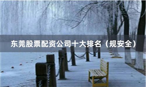 东莞股票配资公司十大排名（规安全）